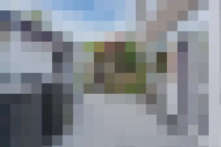 Waleweinlaan 110 Geldrop thumbnail 44