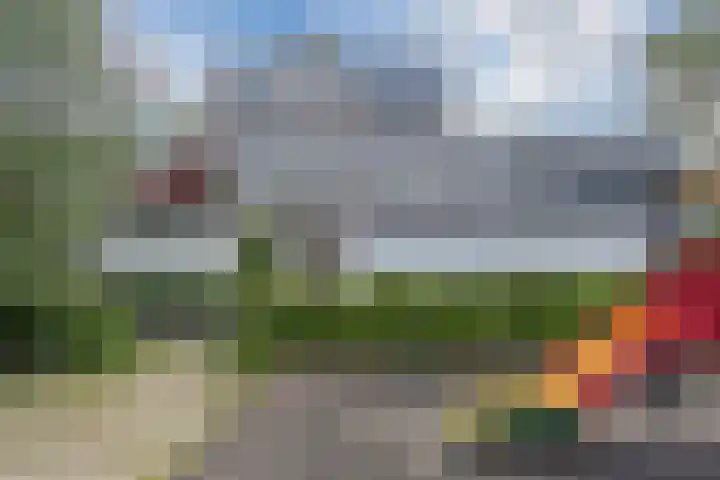 Waleweinlaan 110 Geldrop thumbnail 45