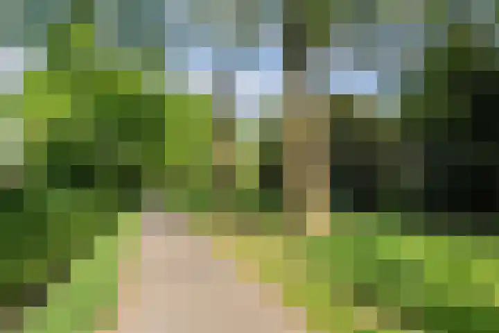 Waleweinlaan 110 Geldrop thumbnail 50