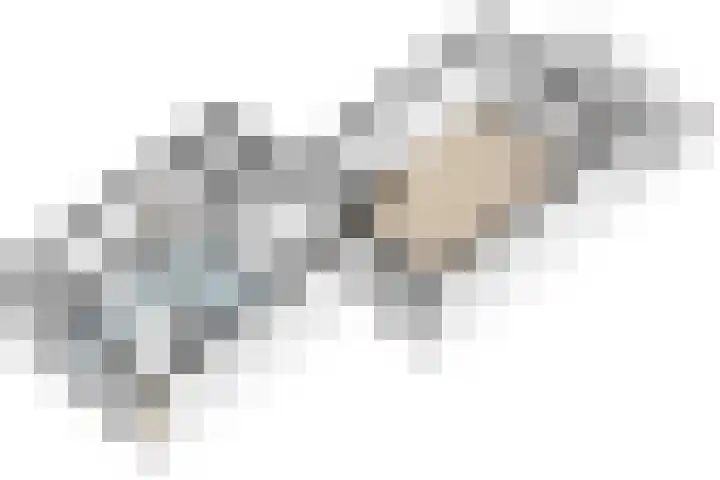 Waleweinlaan 110 Geldrop thumbnail 55