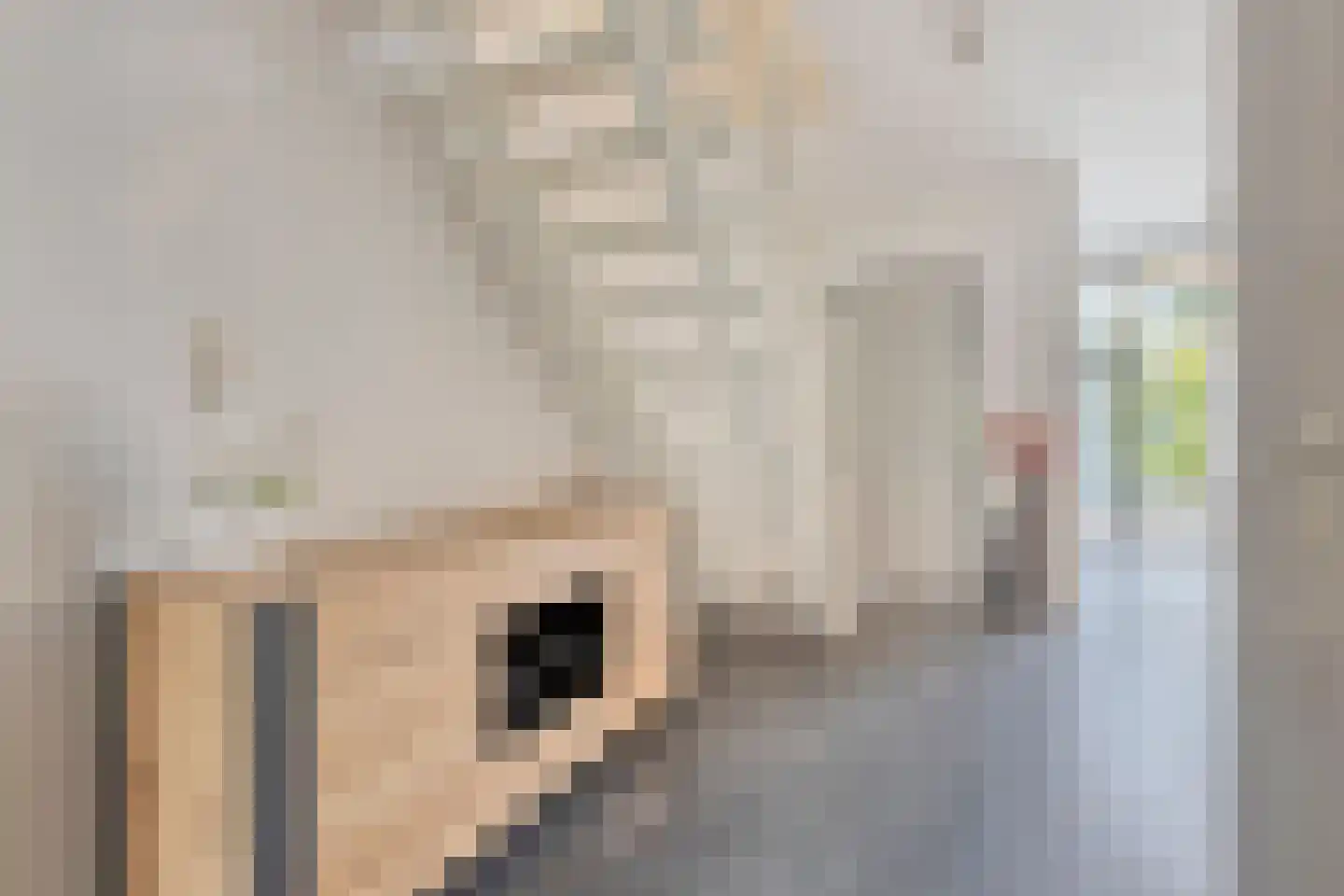 Waleweinlaan 14 Geldrop thumbnail 12