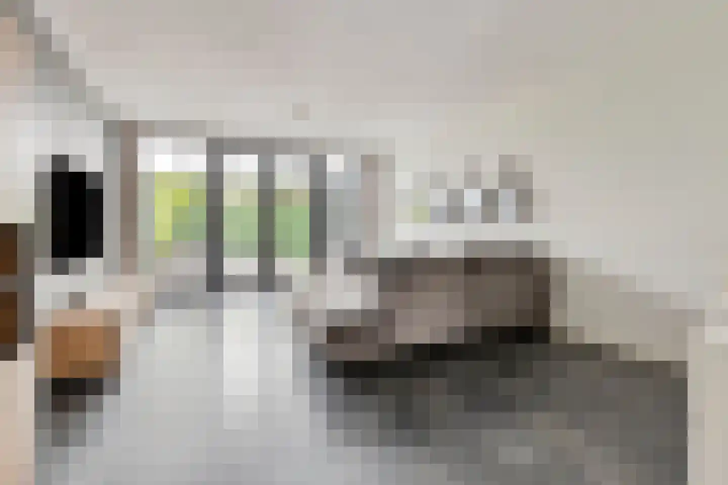 Waleweinlaan 14 Geldrop thumbnail 13