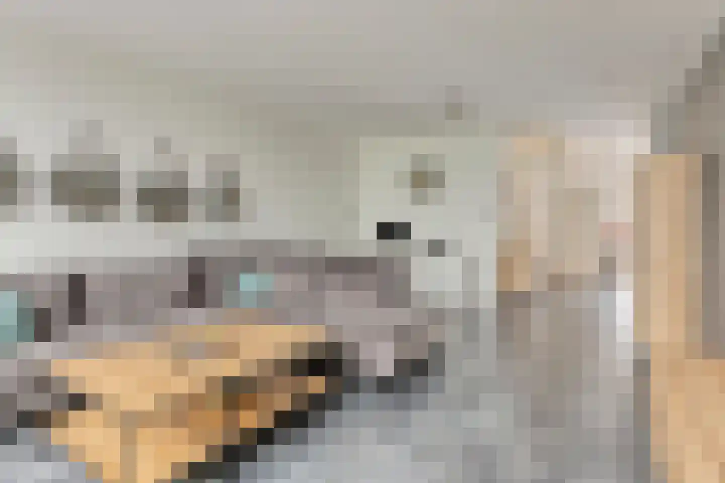 Waleweinlaan 14 Geldrop thumbnail 16