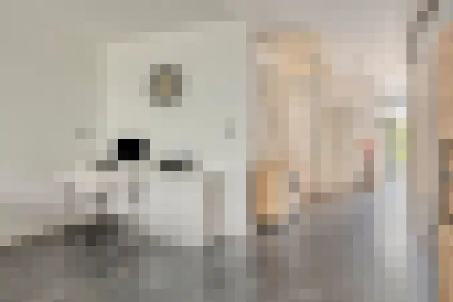 Waleweinlaan 14 Geldrop thumbnail 17
