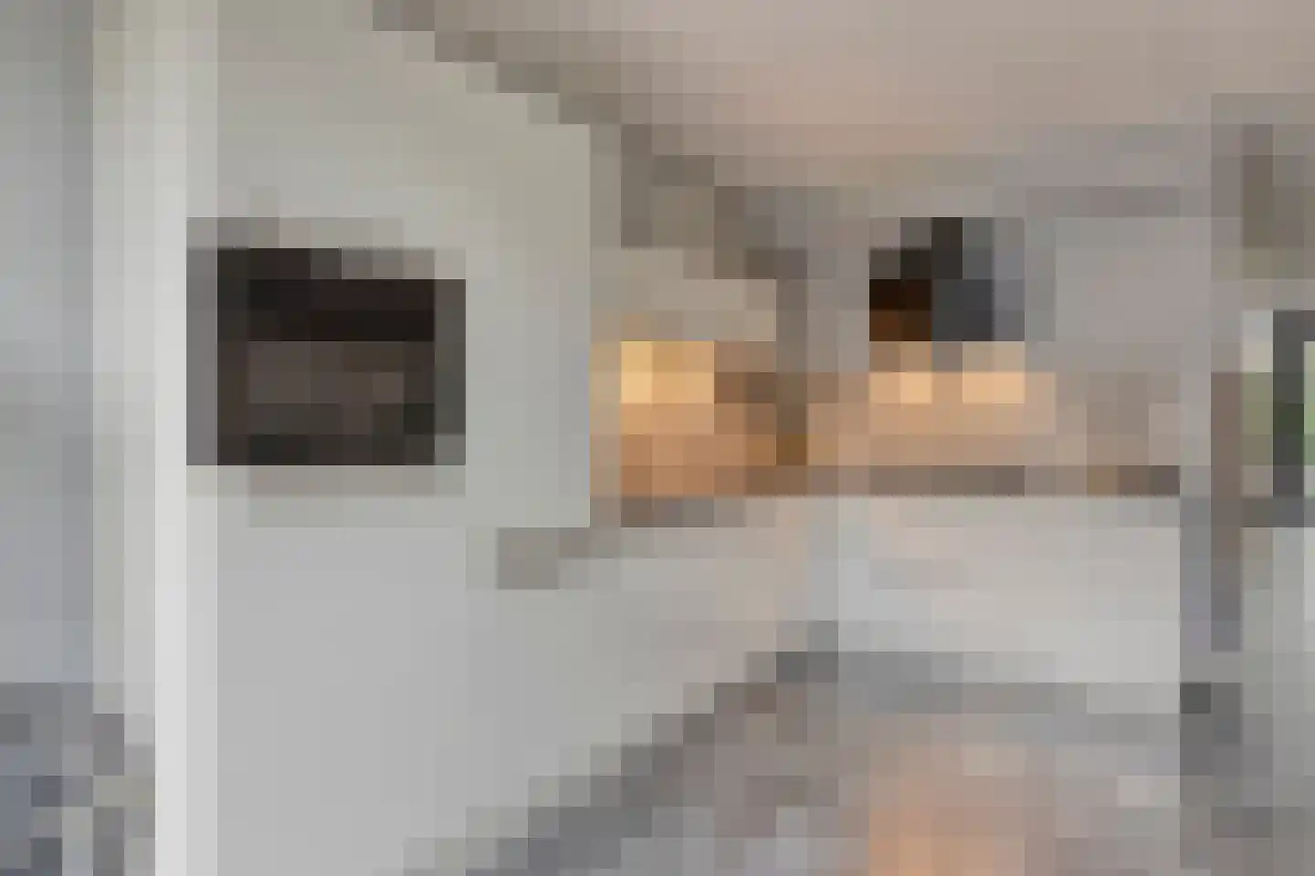 Waleweinlaan 14 Geldrop thumbnail 20
