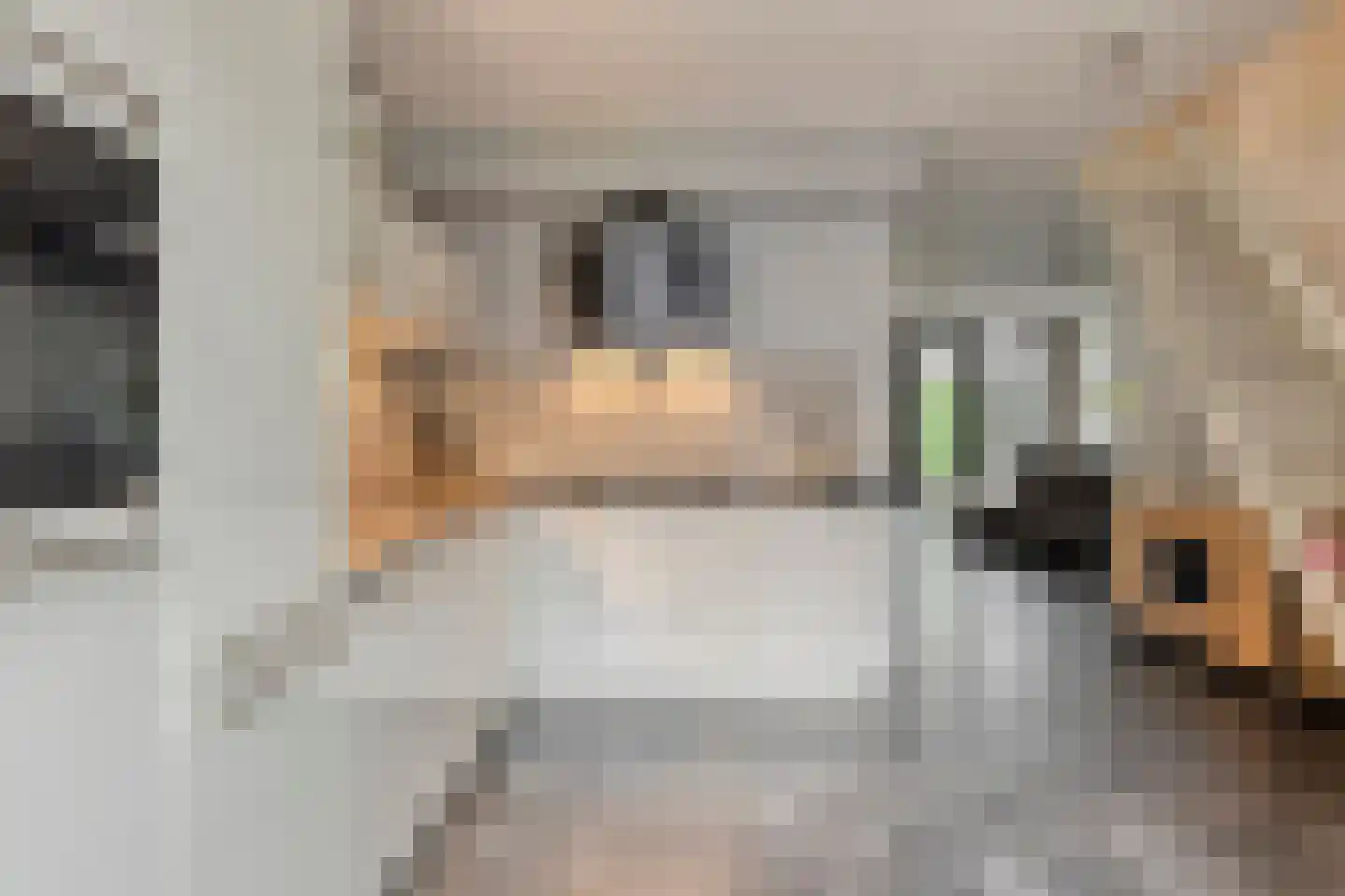 Waleweinlaan 14 Geldrop thumbnail 21
