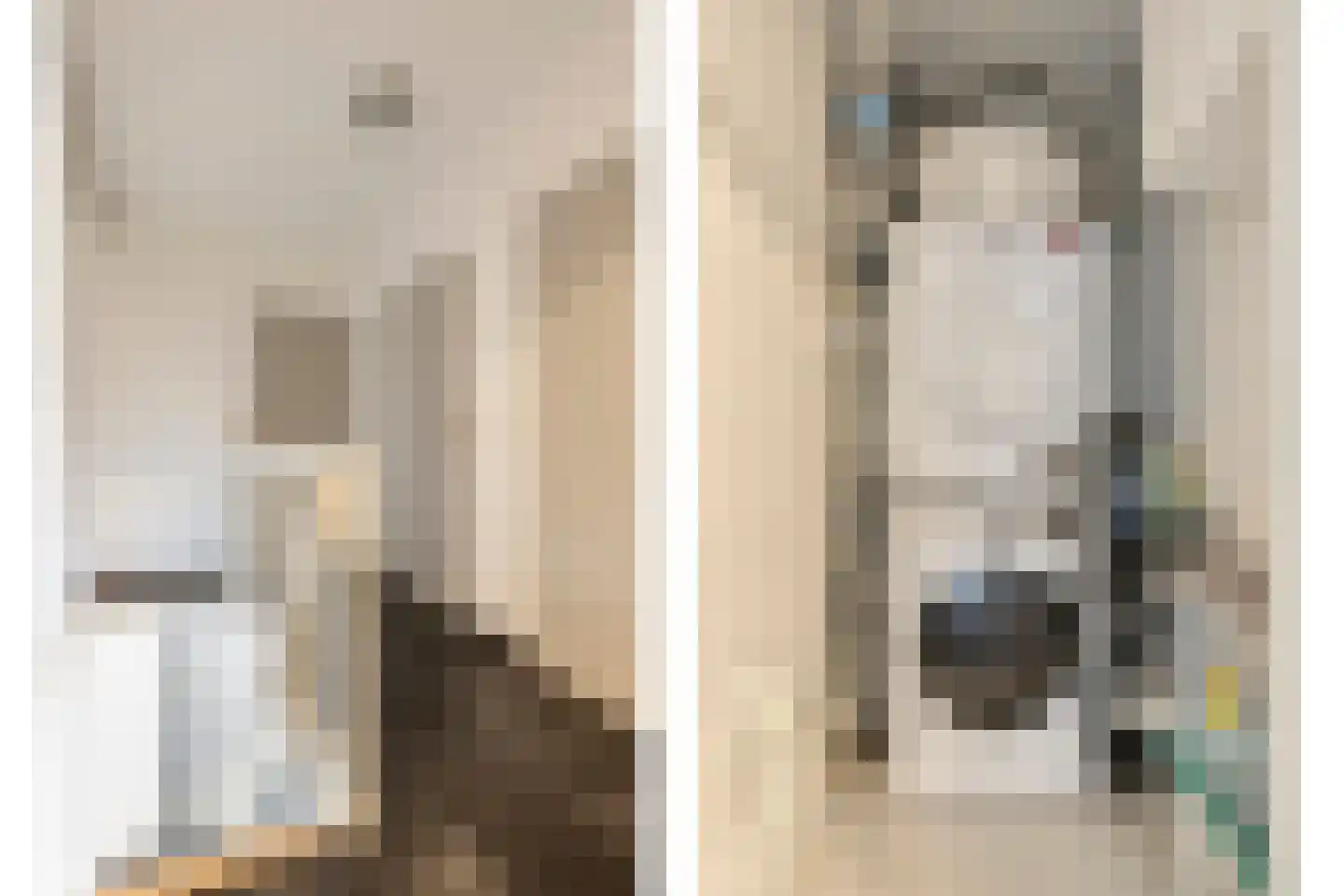 Waleweinlaan 14 Geldrop thumbnail 22