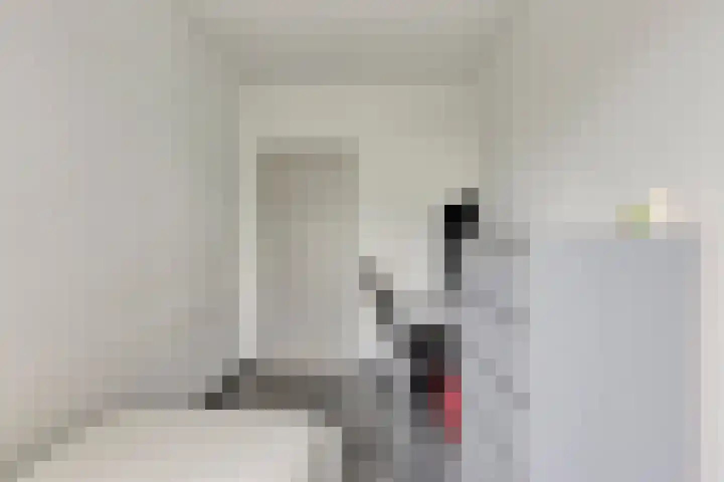 Waleweinlaan 14 Geldrop thumbnail 27