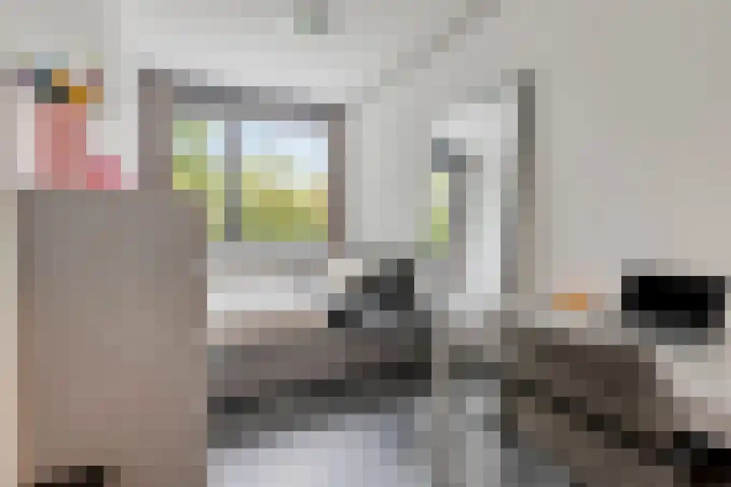 Waleweinlaan 14 Geldrop thumbnail 28