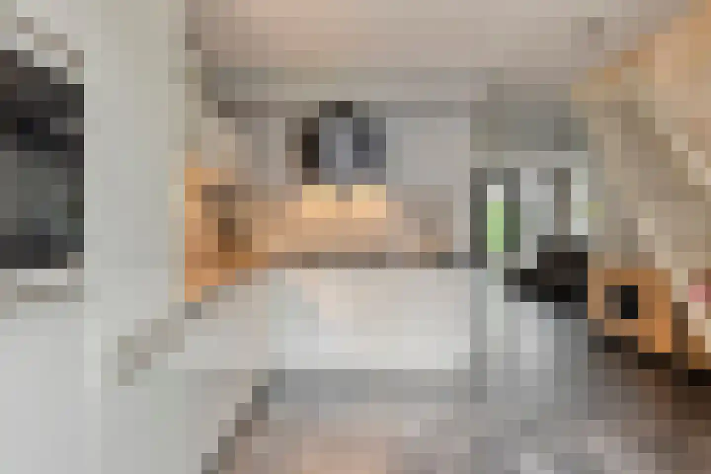Waleweinlaan 14 Geldrop foto 3
