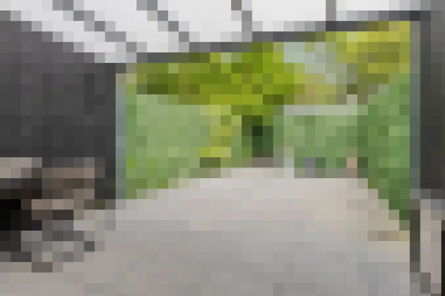 Waleweinlaan 14 Geldrop thumbnail 32