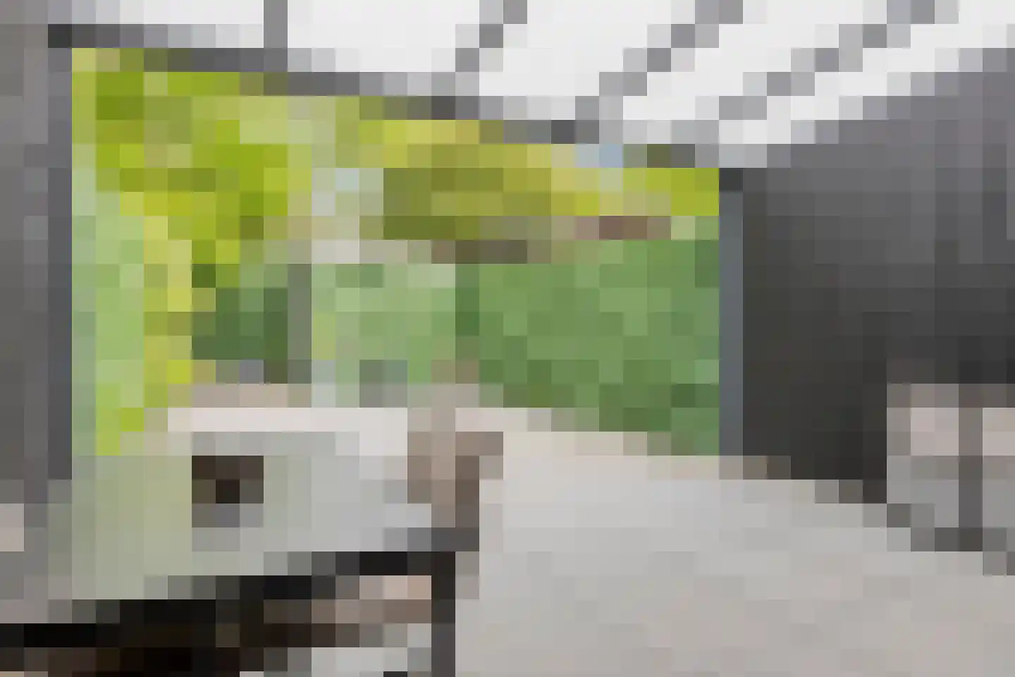 Waleweinlaan 14 Geldrop thumbnail 33