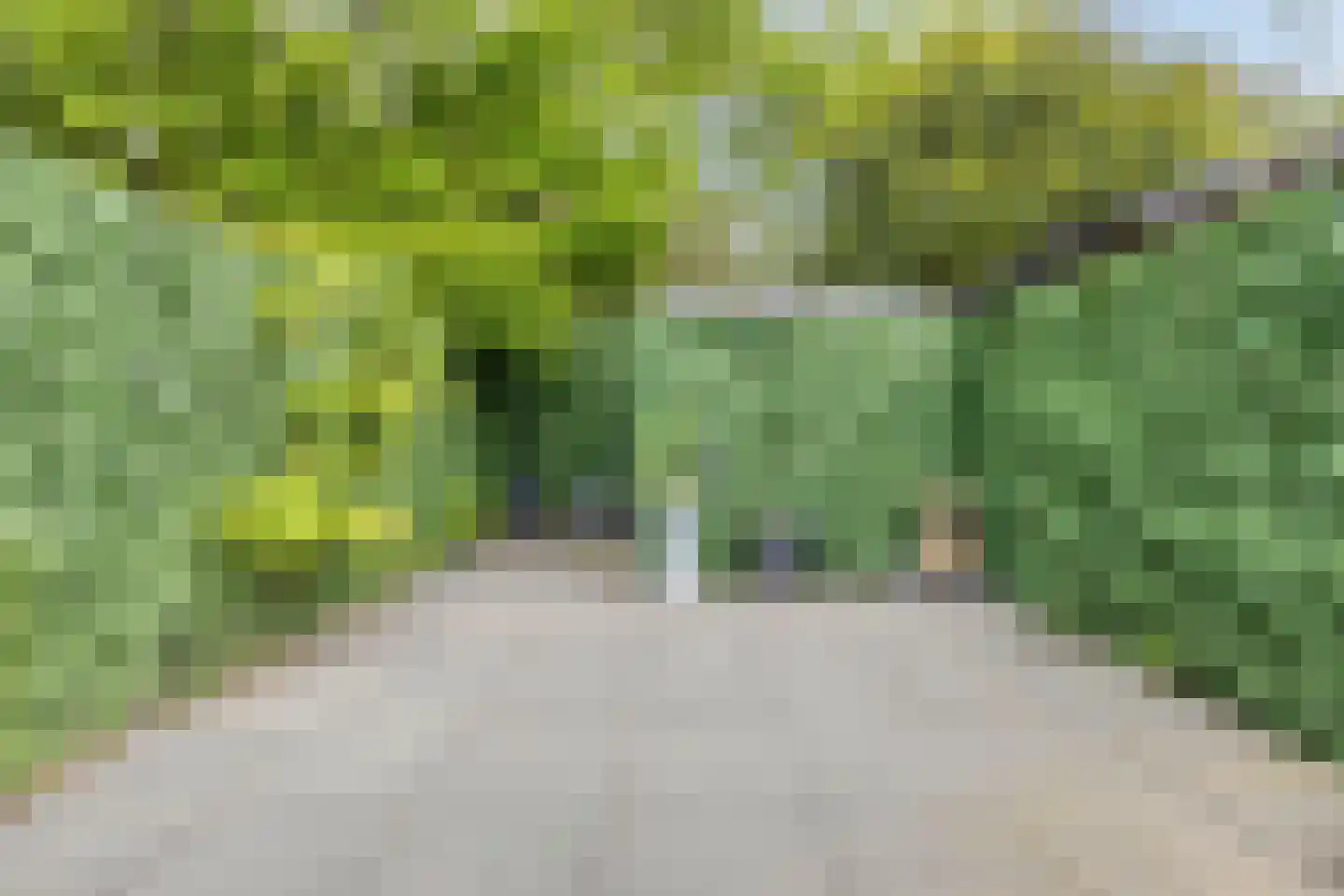Waleweinlaan 14 Geldrop thumbnail 34