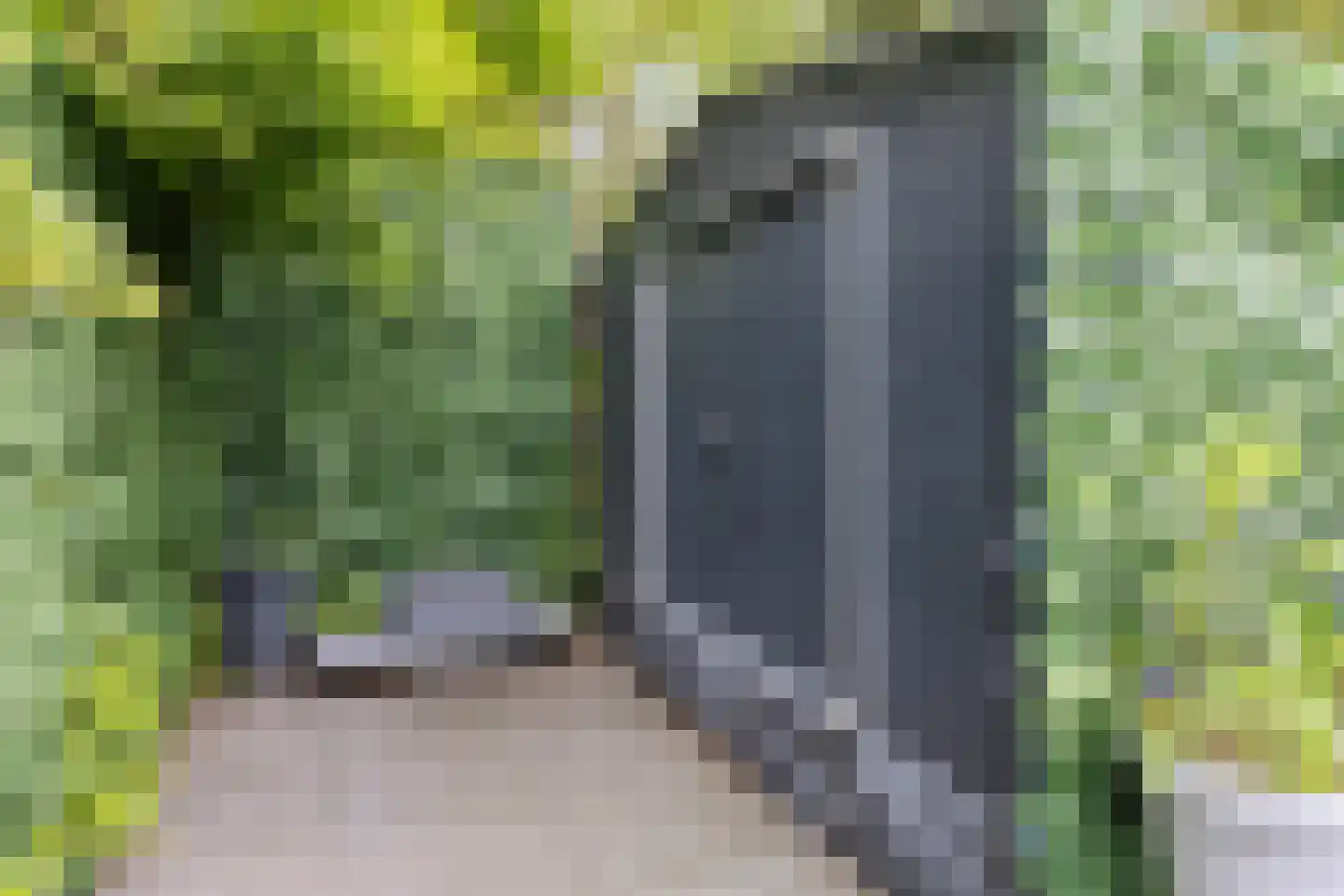 Waleweinlaan 14 Geldrop thumbnail 36