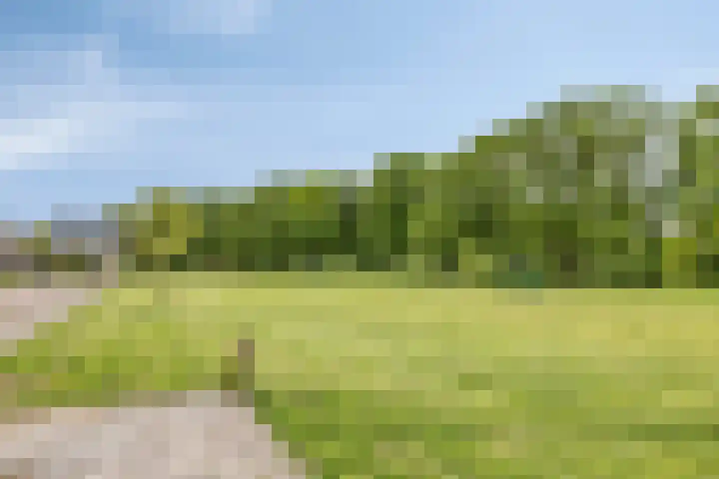 Waleweinlaan 14 Geldrop thumbnail 42