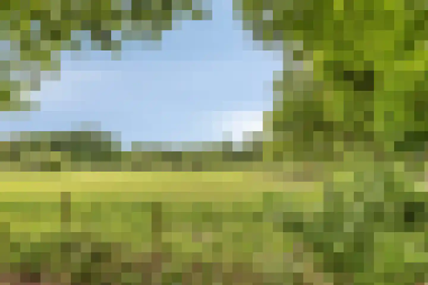 Waleweinlaan 14 Geldrop thumbnail 43