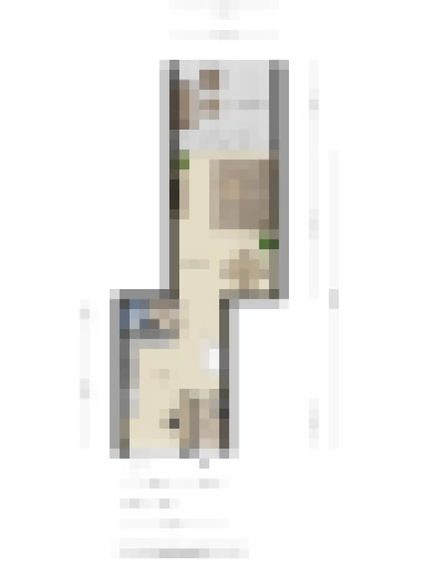 Waleweinlaan 14 Geldrop thumbnail 44