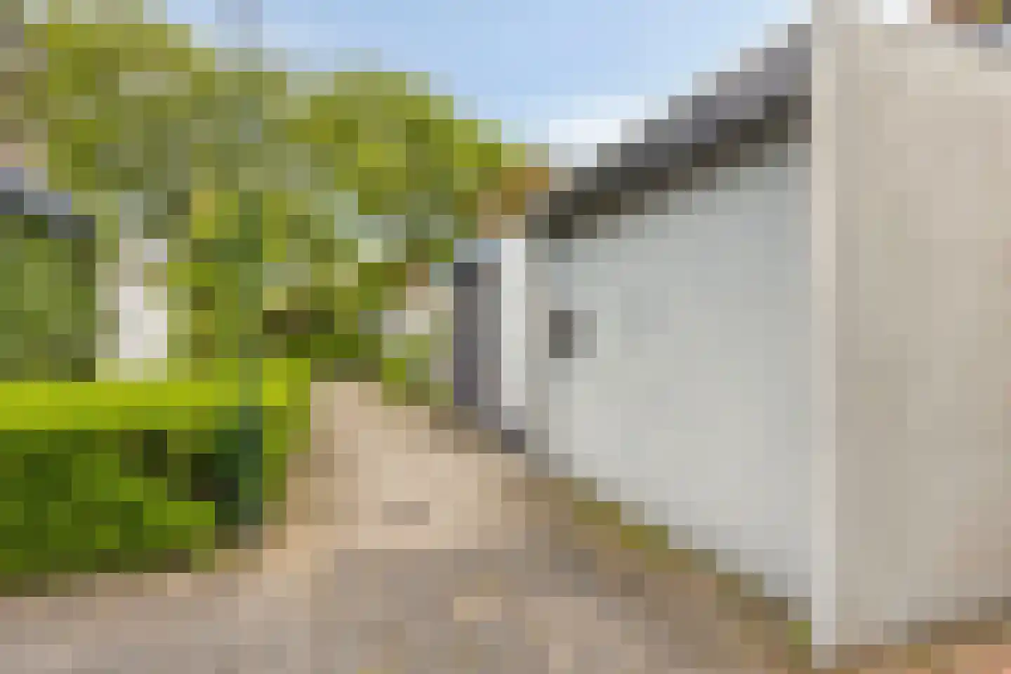 Waleweinlaan 14 Geldrop thumbnail 7