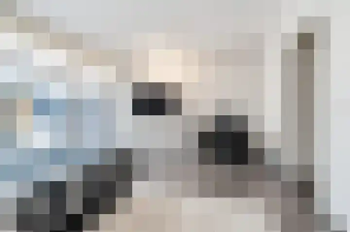 Waleweinlaan 144 Geldrop thumbnail 10