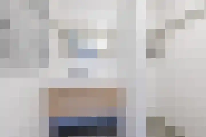 Waleweinlaan 144 Geldrop thumbnail 15
