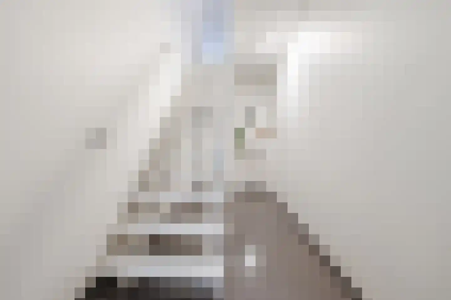 Waleweinlaan 144 Geldrop thumbnail 18