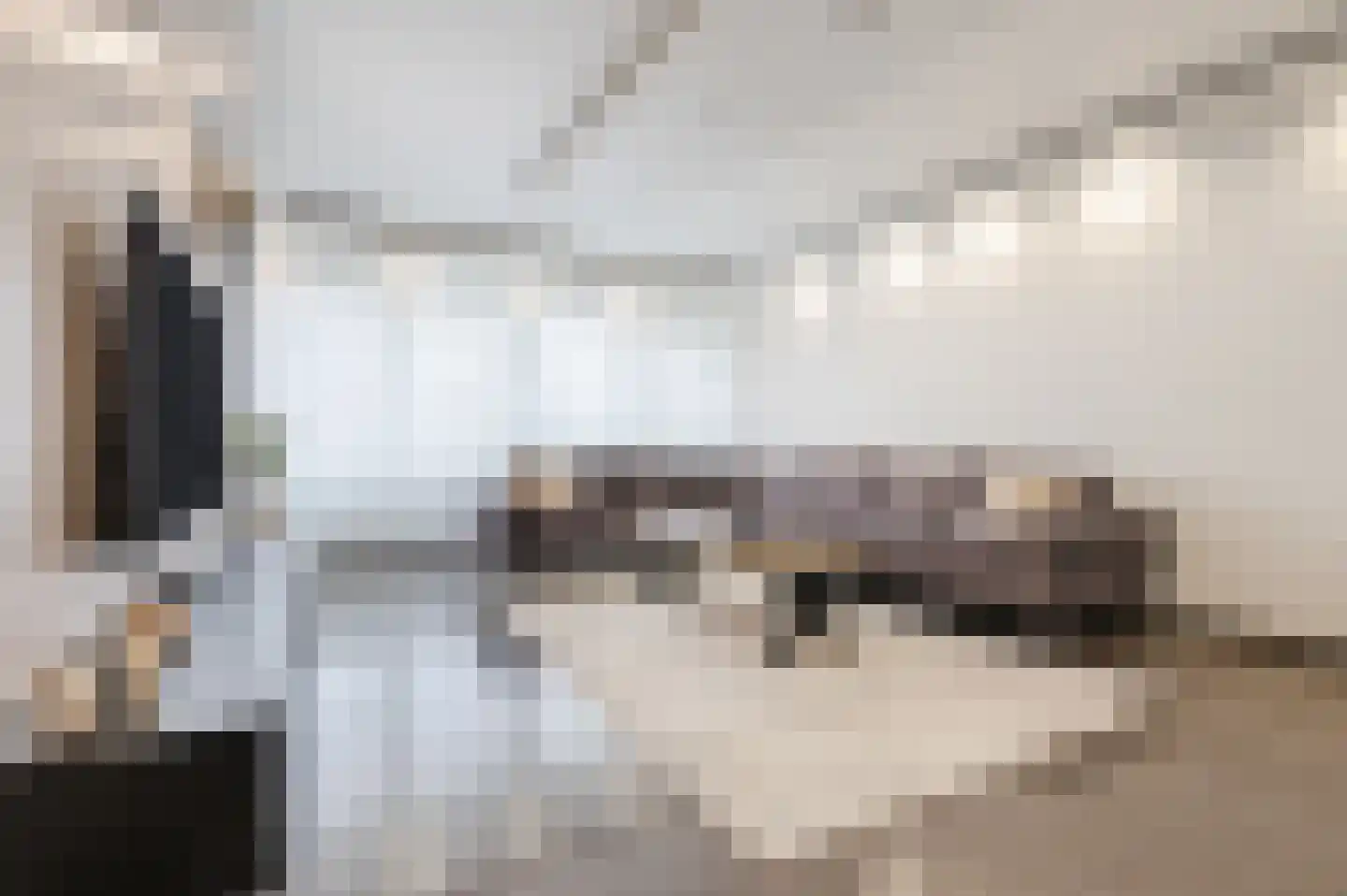 Waleweinlaan 144 Geldrop thumbnail 20