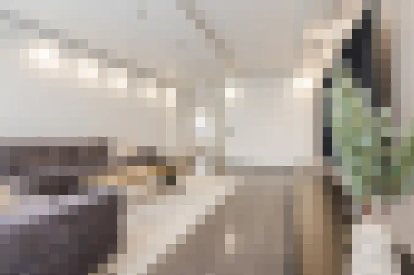 Waleweinlaan 144 Geldrop thumbnail 21