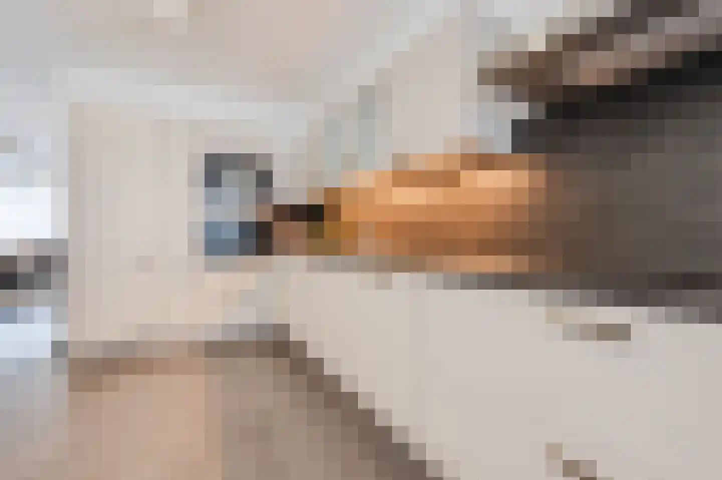 Waleweinlaan 144 Geldrop thumbnail 26