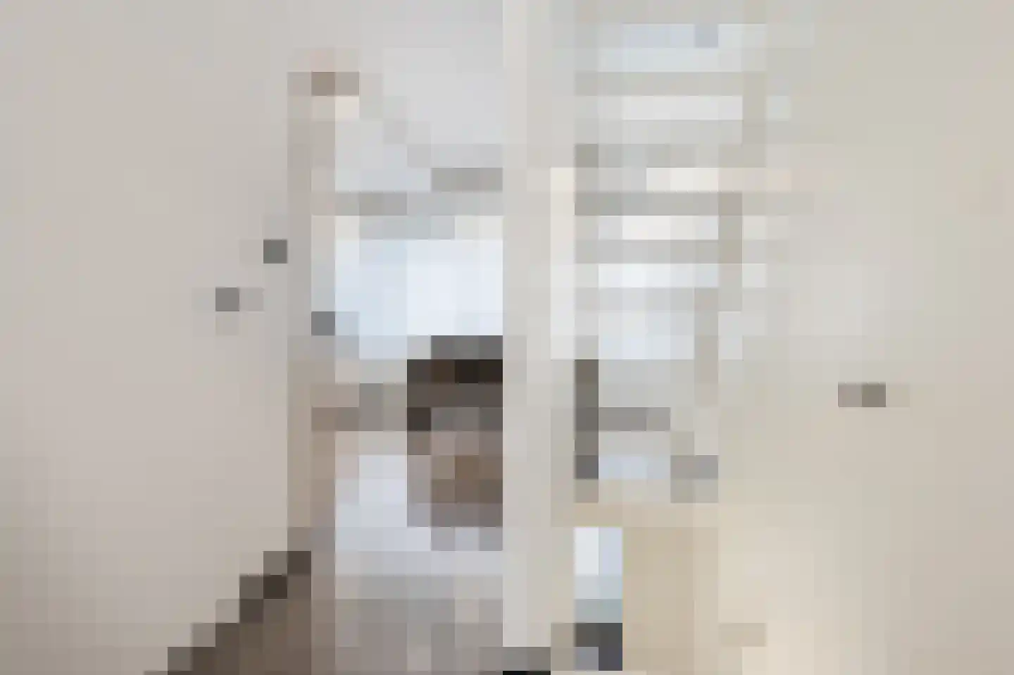 Waleweinlaan 144 Geldrop thumbnail 29