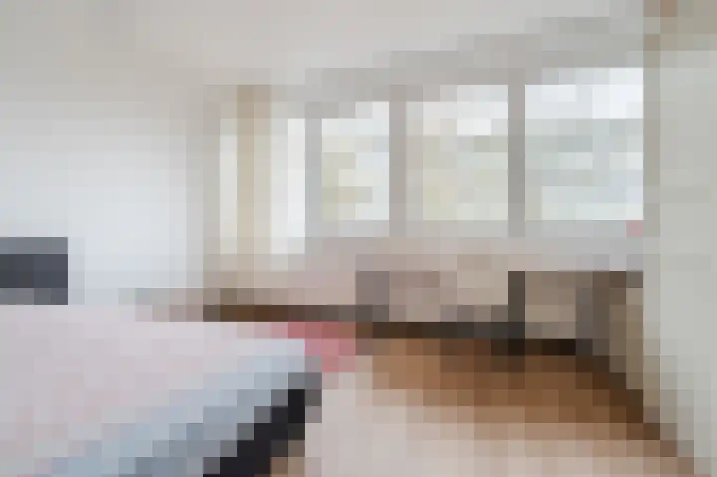 Waleweinlaan 144 Geldrop thumbnail 36