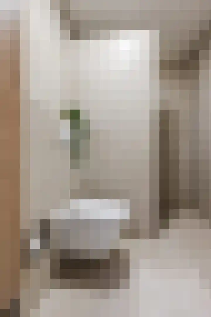Waleweinlaan 144 Geldrop thumbnail 41