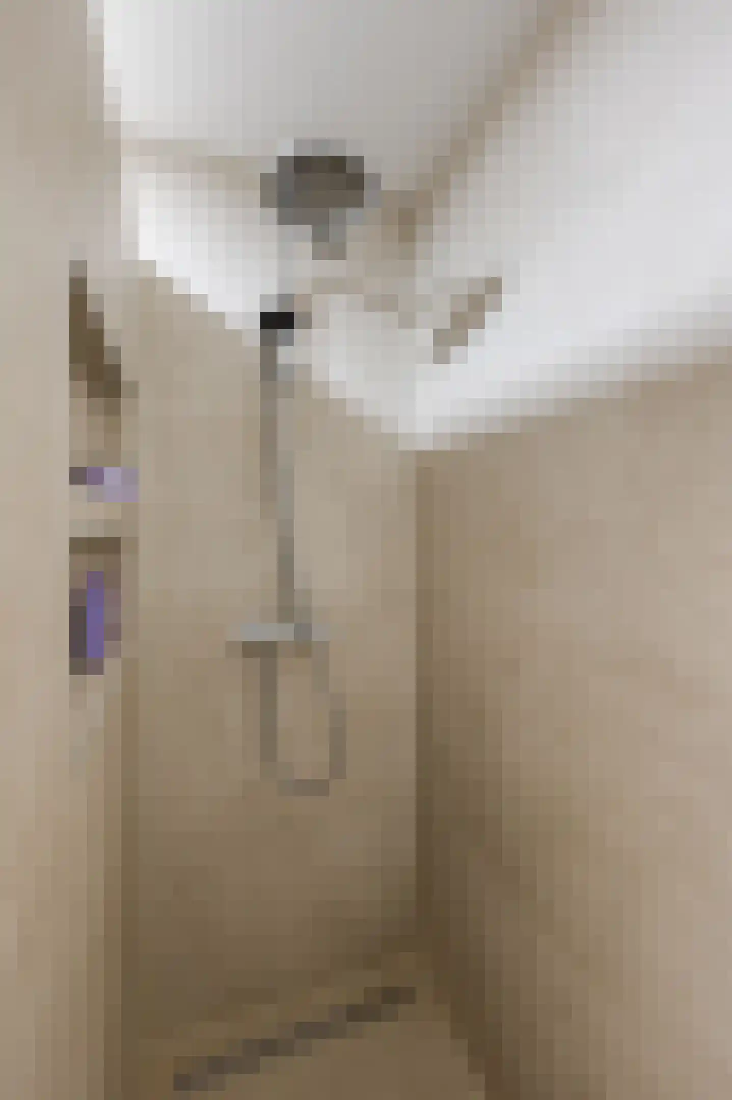 Waleweinlaan 144 Geldrop thumbnail 42