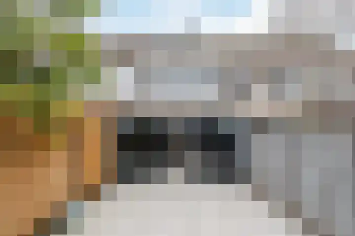 Waleweinlaan 144 Geldrop thumbnail 43