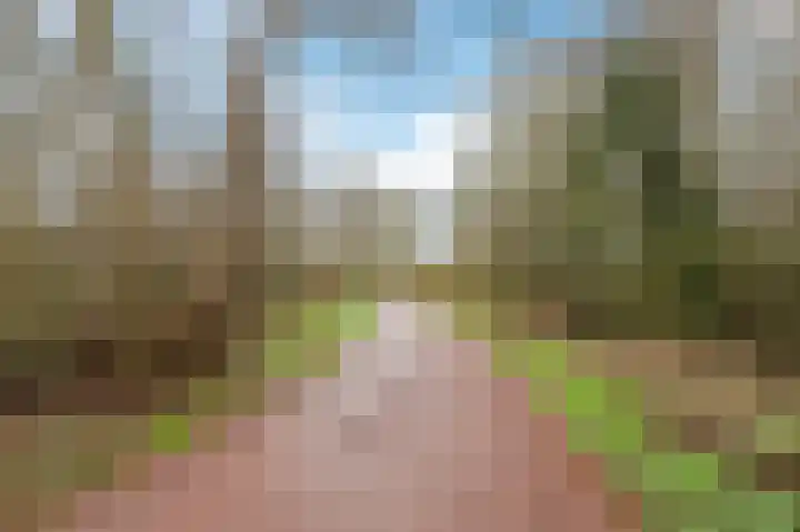Waleweinlaan 144 Geldrop thumbnail 47