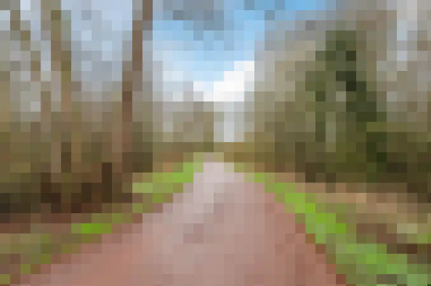 Waleweinlaan 144 Geldrop thumbnail 47