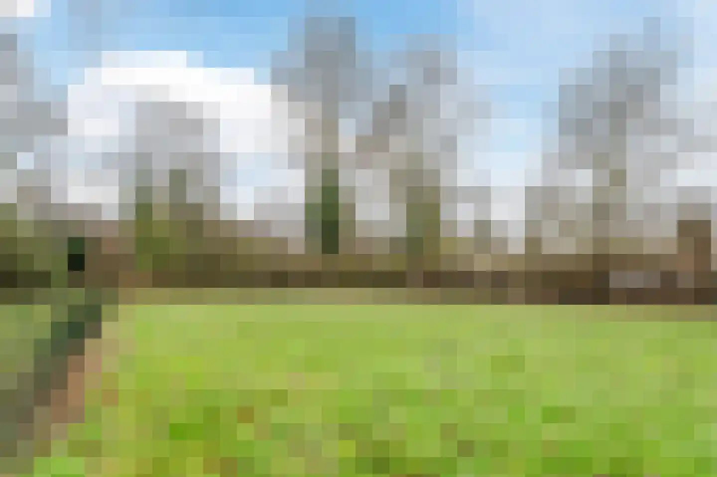 Waleweinlaan 144 Geldrop thumbnail 48