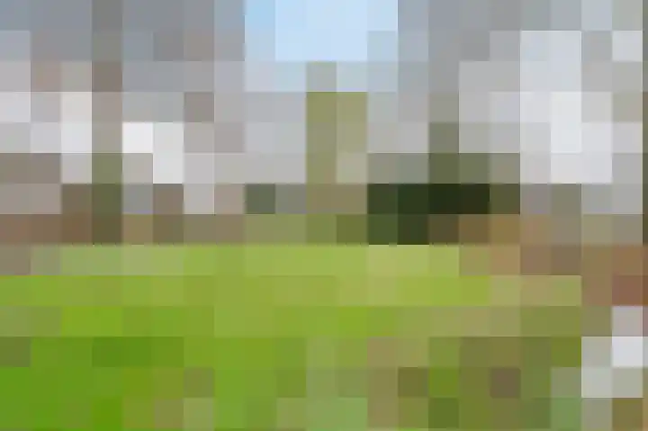Waleweinlaan 144 Geldrop thumbnail 50