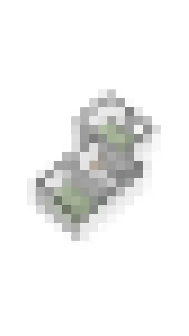 Waleweinlaan 144 Geldrop thumbnail 57