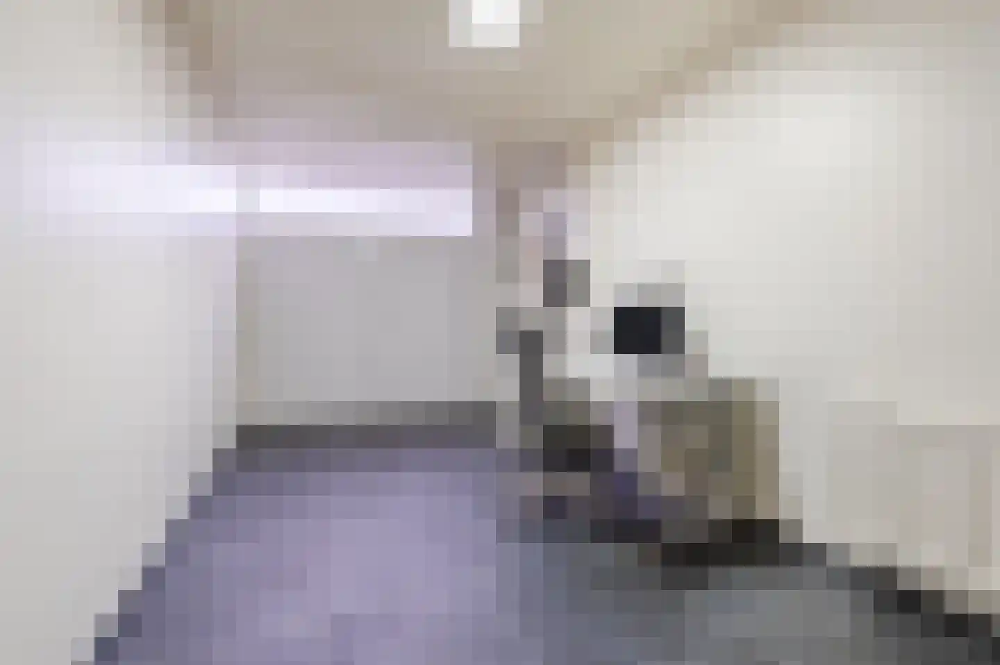 Waleweinlaan 144 Geldrop thumbnail 7
