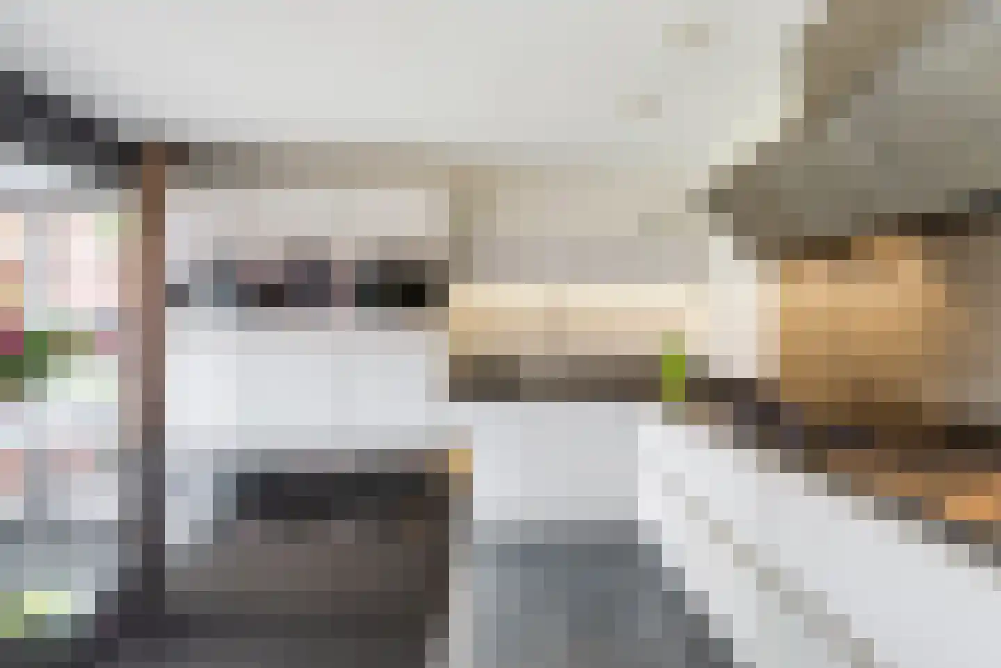 Waleweinlaan 2 Geldrop thumbnail 10