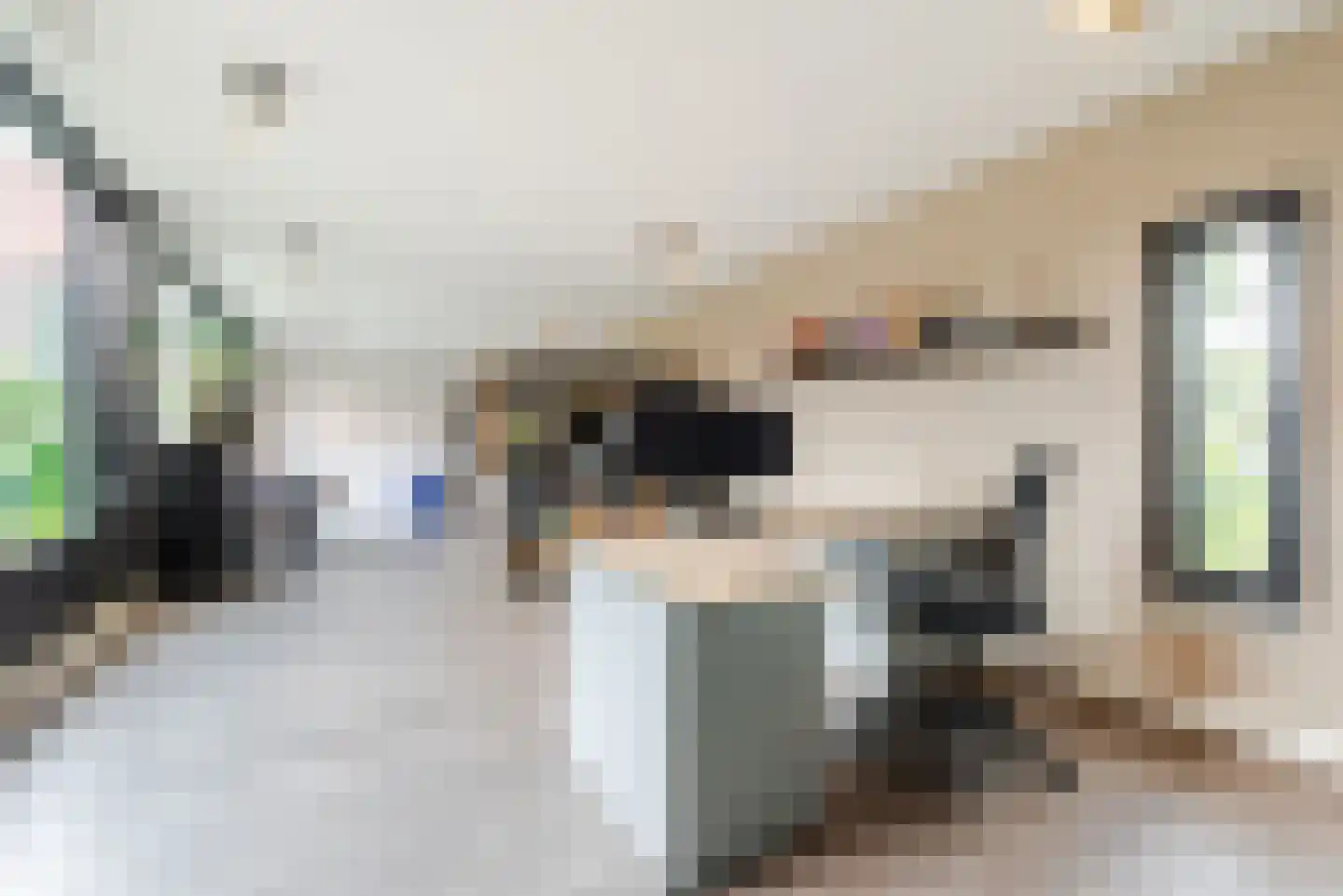 Waleweinlaan 2 Geldrop thumbnail 13