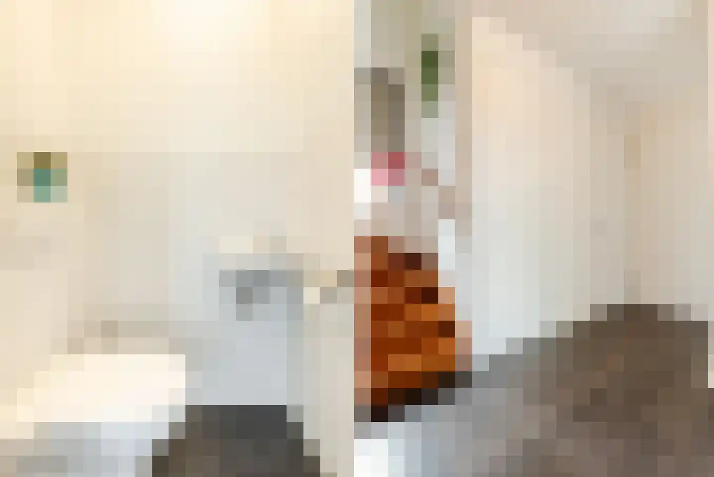 Waleweinlaan 2 Geldrop thumbnail 17