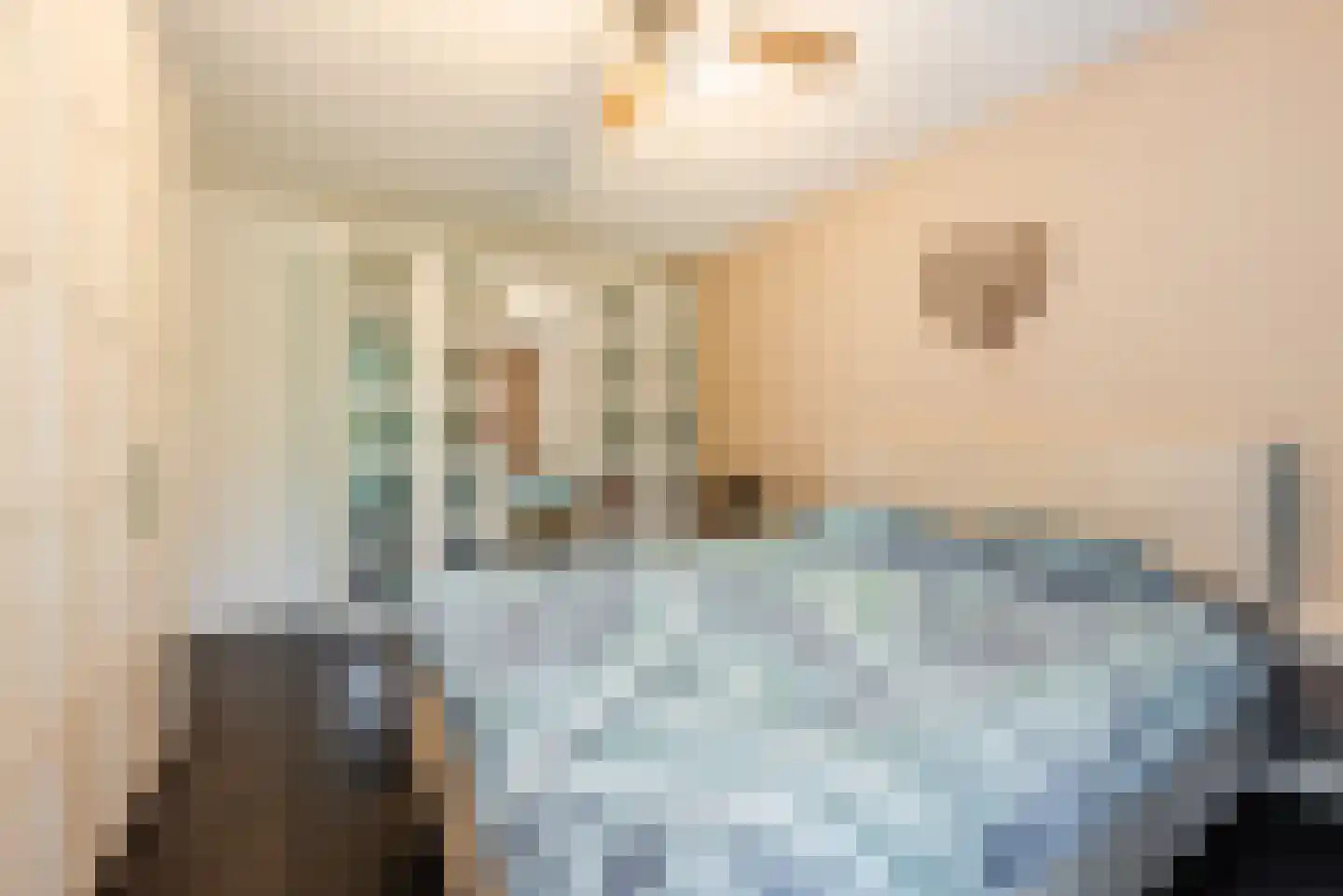 Waleweinlaan 2 Geldrop thumbnail 19