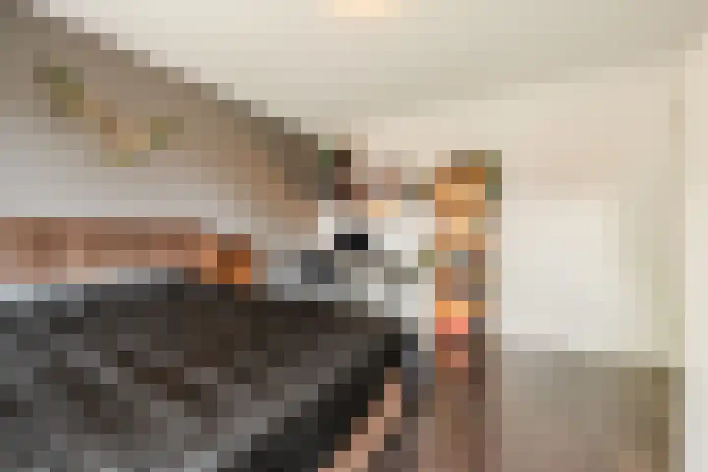 Waleweinlaan 2 Geldrop thumbnail 20