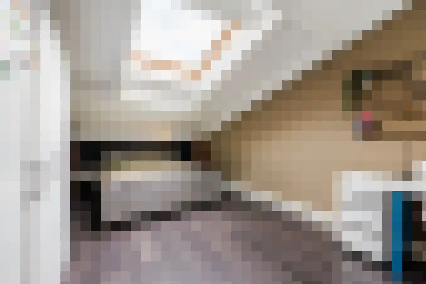 Waleweinlaan 2 Geldrop thumbnail 25