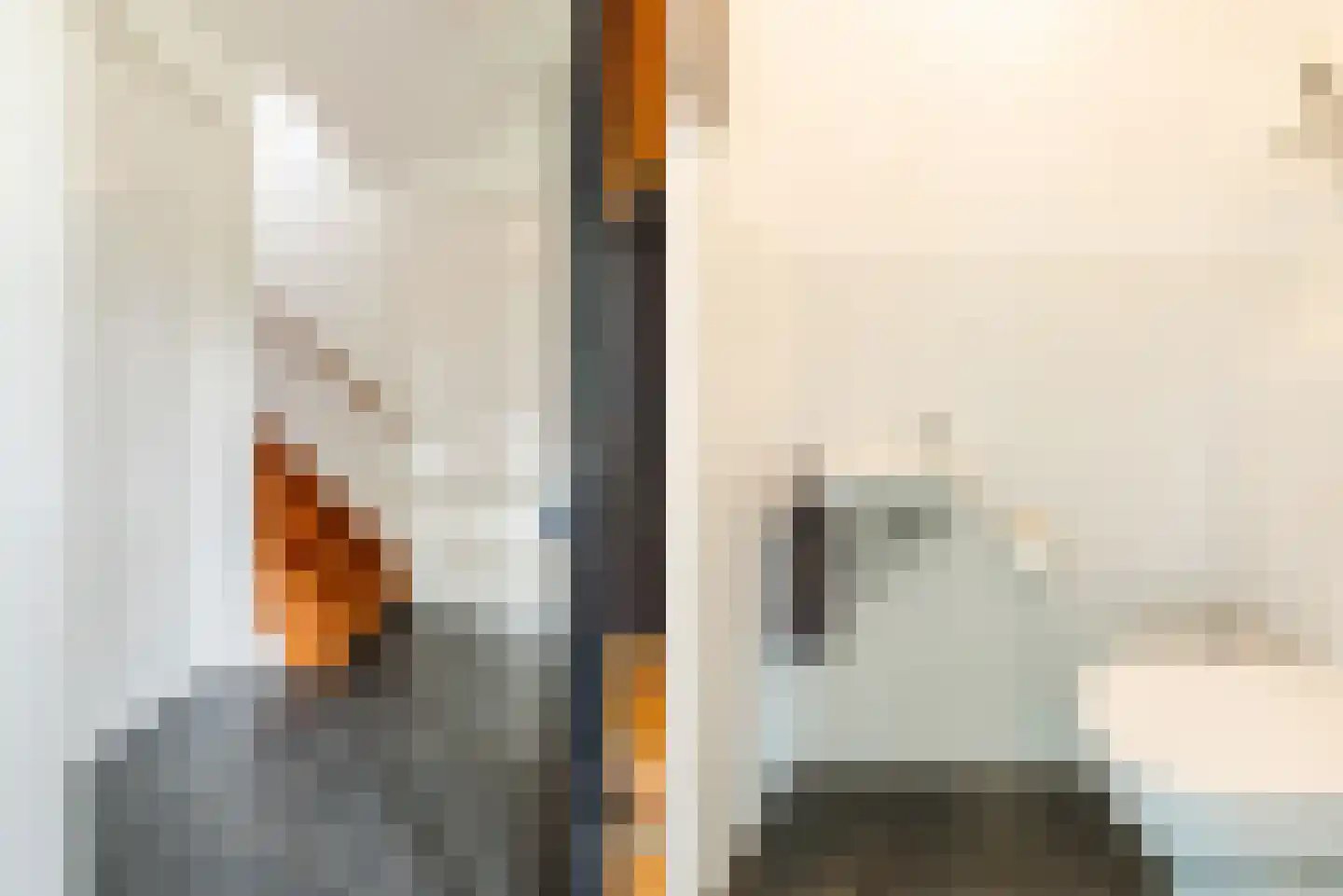 Waleweinlaan 2 Geldrop foto 3