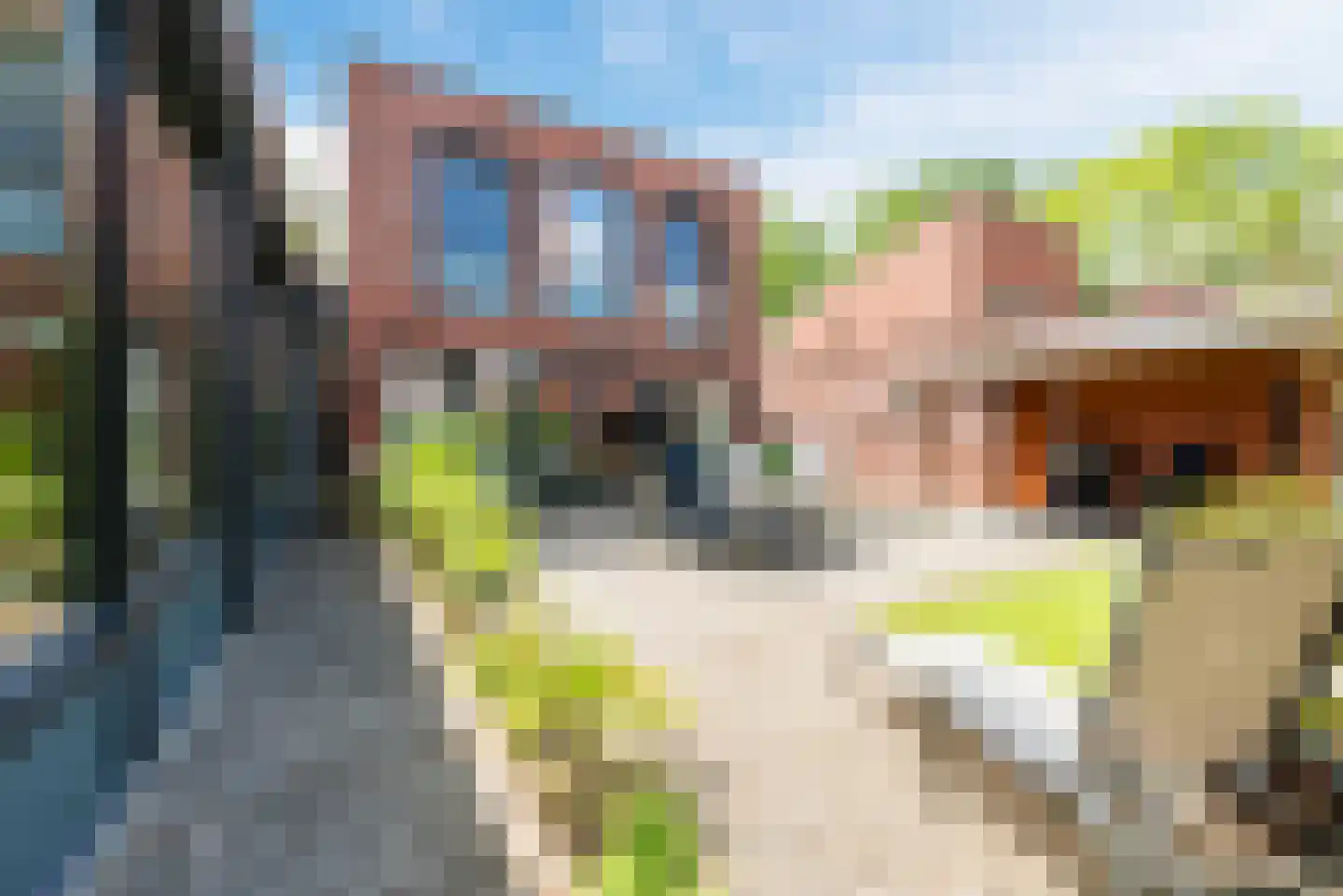 Waleweinlaan 2 Geldrop thumbnail 32