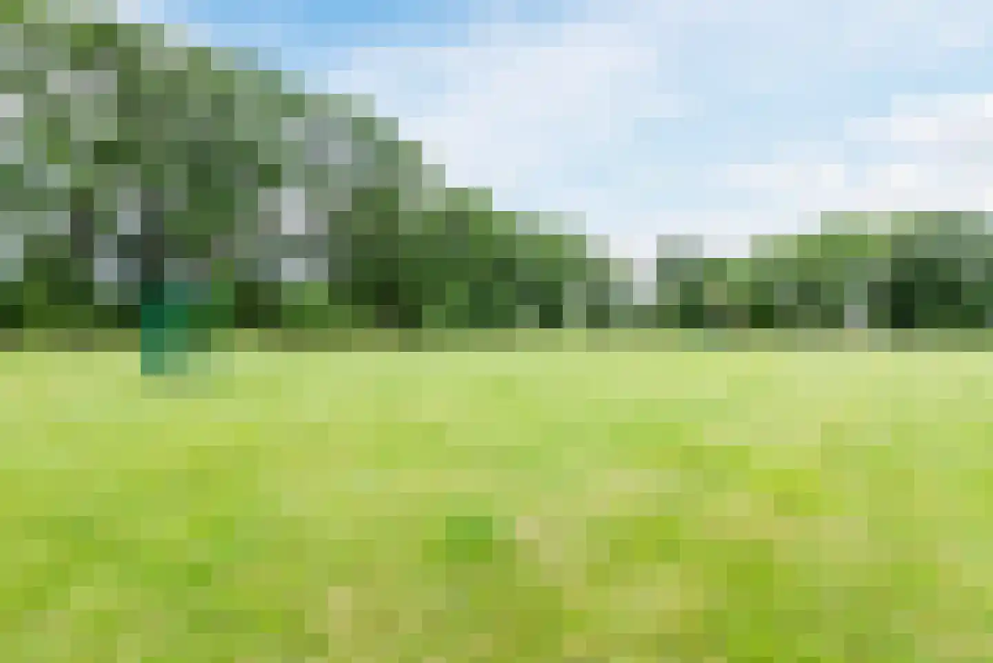 Waleweinlaan 2 Geldrop thumbnail 34