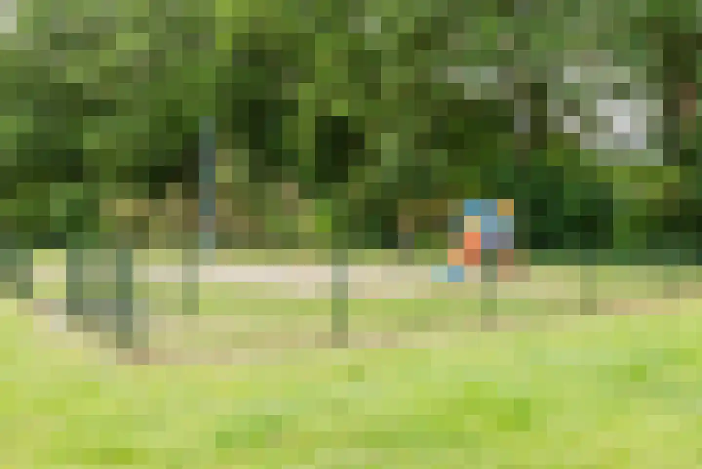 Waleweinlaan 2 Geldrop thumbnail 35