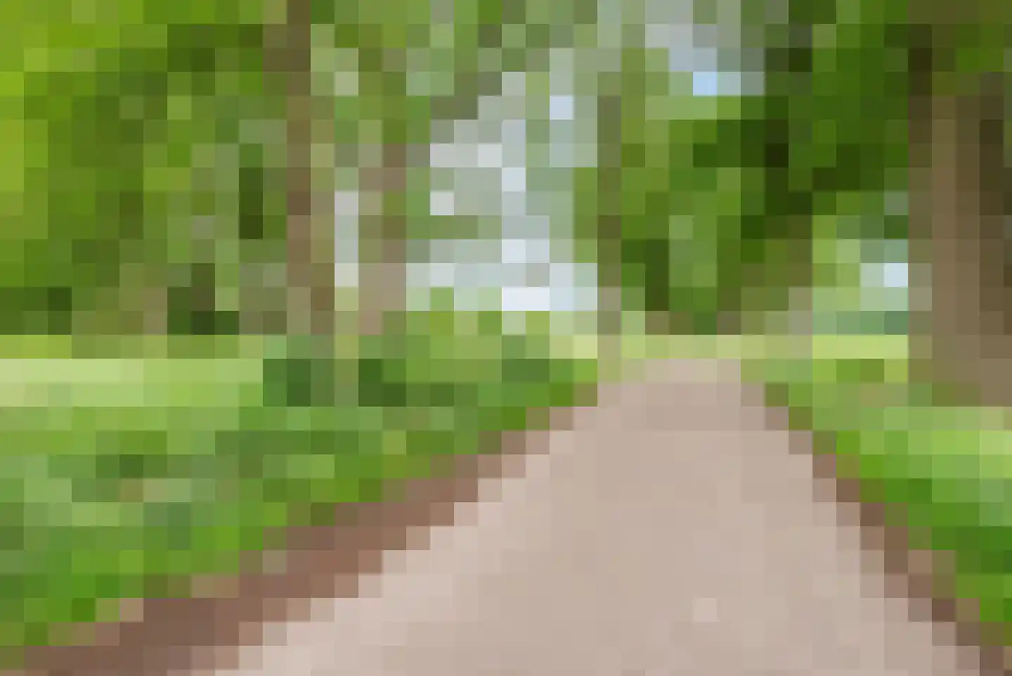 Waleweinlaan 2 Geldrop thumbnail 36